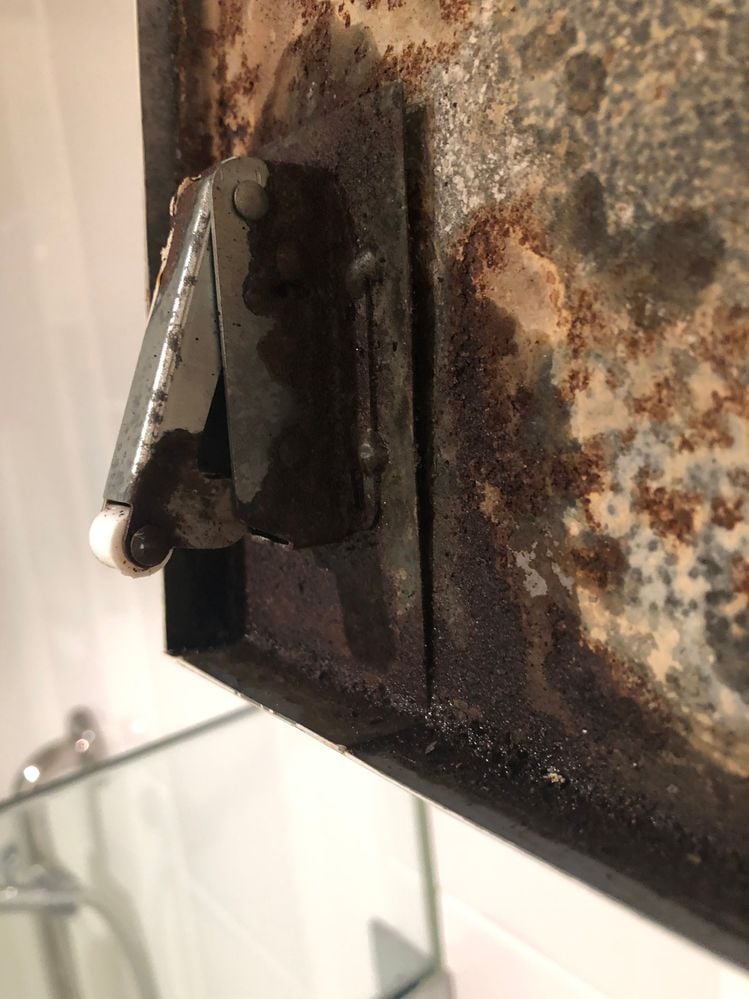 IMG_5930.jpeg IMG_5930.jpeg