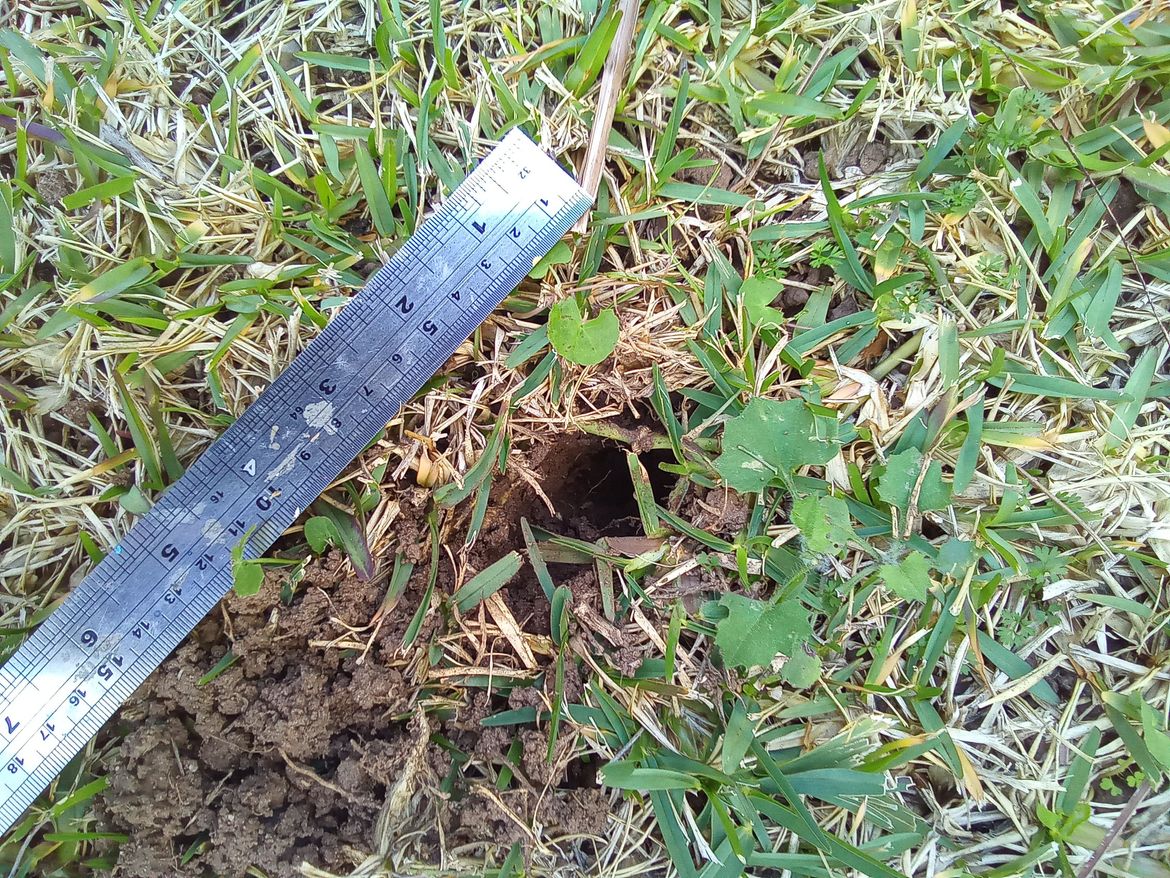 IMG_20220709_151159_055.jpg IMG_20220709_151159_055.jpg