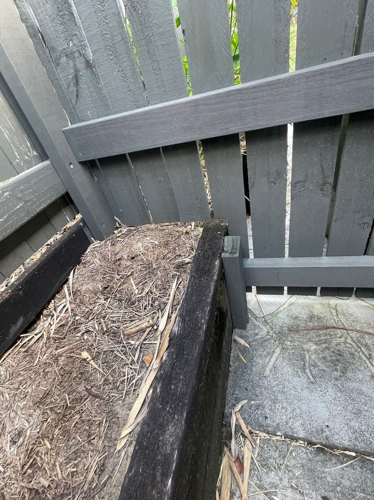 IMG_0052.jpg IMG_0052.jpg