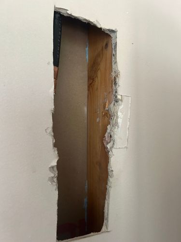 IMG_3476.jpeg IMG_3476.jpeg