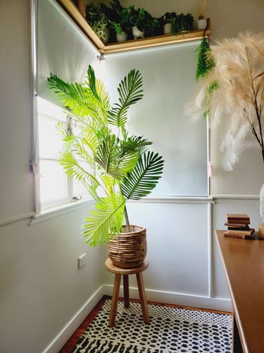 20230213_101613.jpg 20230213_101613.jpg