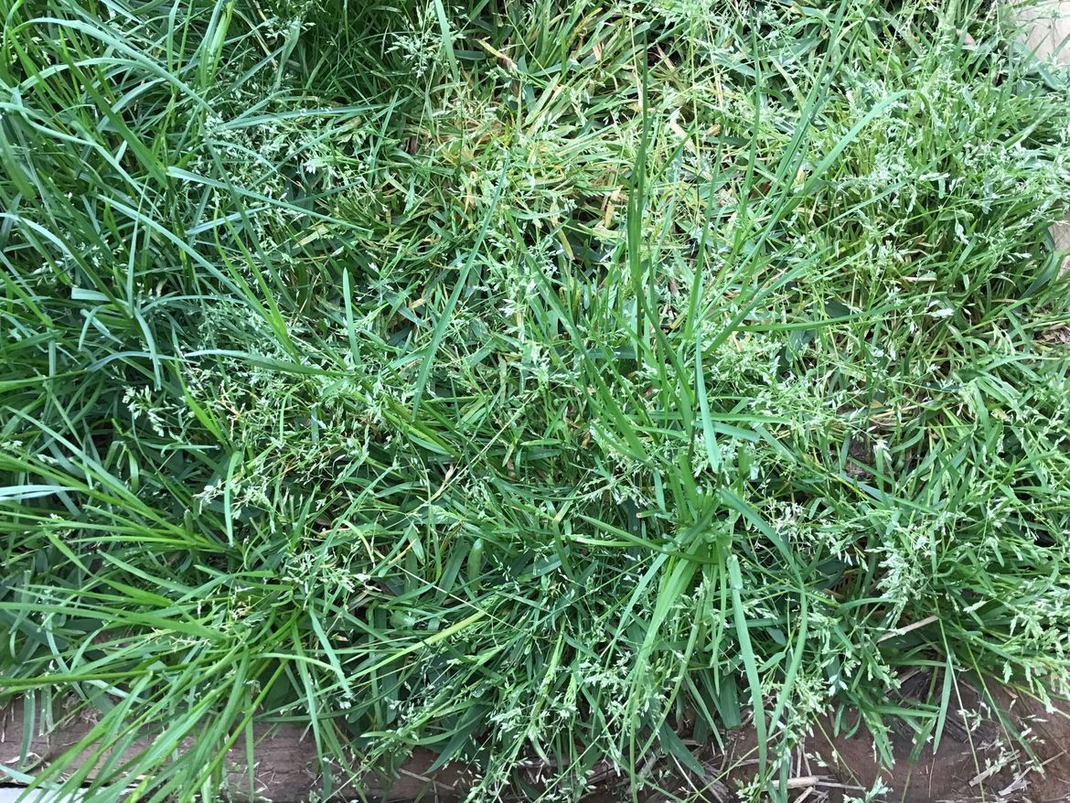 IMG_5054.jpeg IMG_5054.jpeg