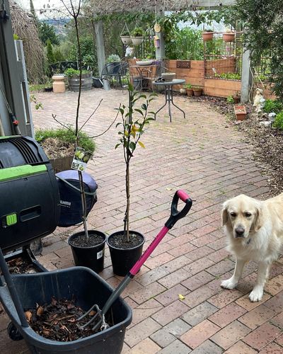 1E916609-4EE2-491D-98A9-3B6CD8D035D7.jpeg 1E916609-4EE2-491D-98A9-3B6CD8D035D7.jpeg