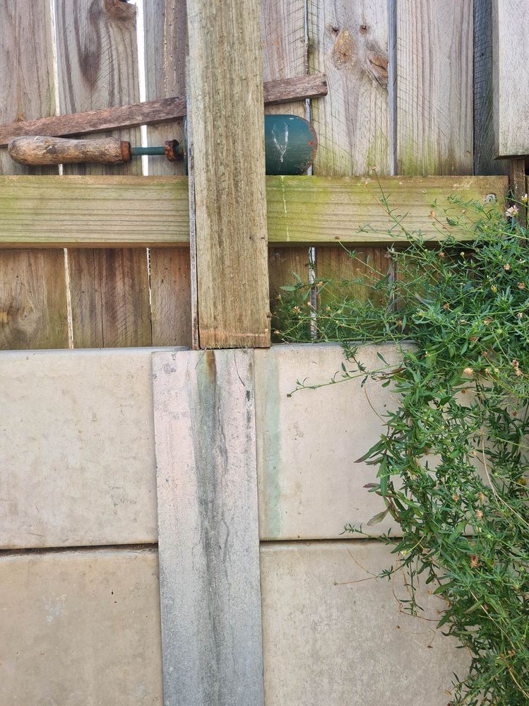 323534894_896795391507900_8749591653645962654_n (1).jpg 323534894_896795391507900_8749591653645962654_n (1).jpg