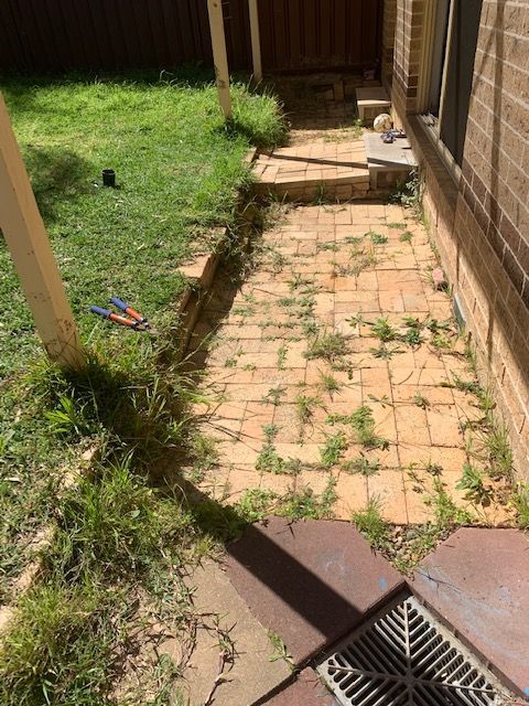 IMG_3841.jpg IMG_3841.jpg