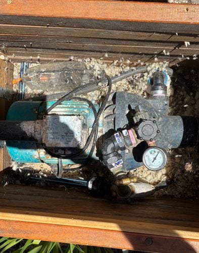 IMG_5557.jpeg IMG_5557.jpeg