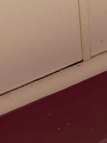 809B7306-0ADA-43ED-92CF-EC36DDEC733C.jpeg 809B7306-0ADA-43ED-92CF-EC36DDEC733C.jpeg