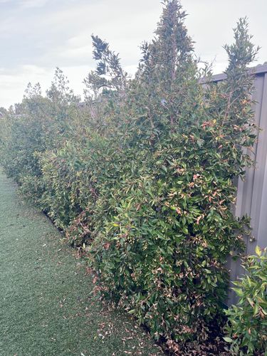 IMG_3693.jpeg IMG_3693.jpeg