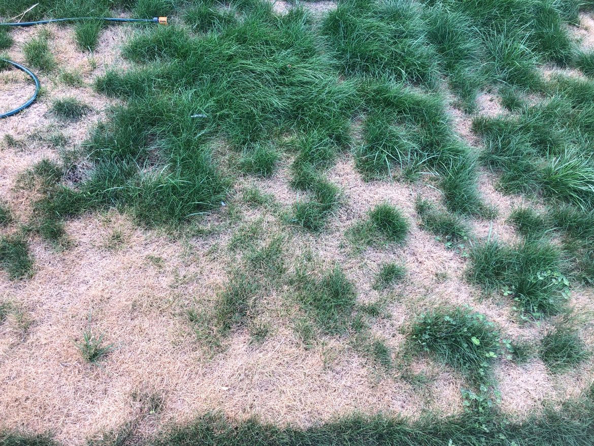 IMG-2434.jpg IMG-2434.jpg