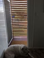 IMG_2349.JPG IMG_2349.JPG