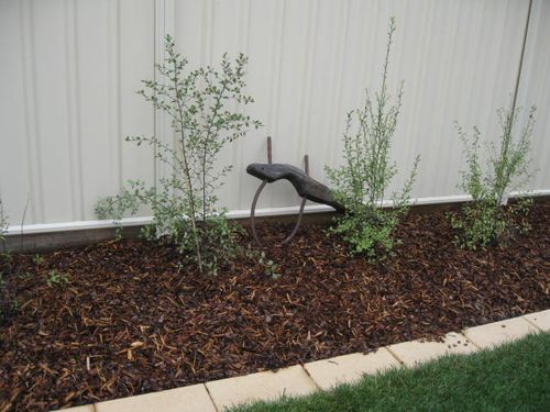 Part of a Bullock Yoke IMG_2760 (18).JPG