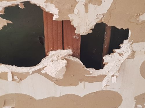 20230808_114313.jpg 20230808_114313.jpg