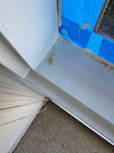 IMG_9409.jpeg IMG_9409.jpeg