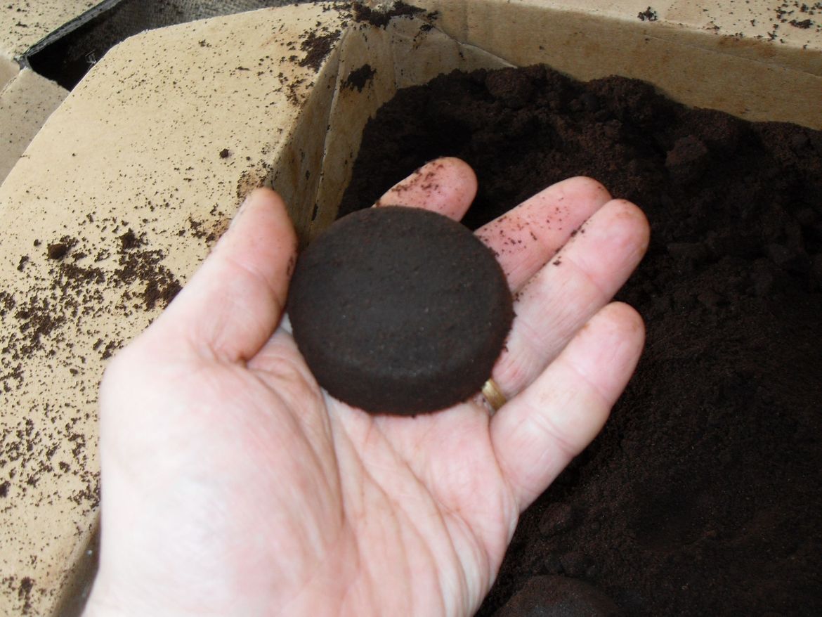 Grounds.jpg Grounds.jpg