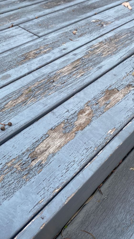 IMG_6499.jpg IMG_6499.jpg