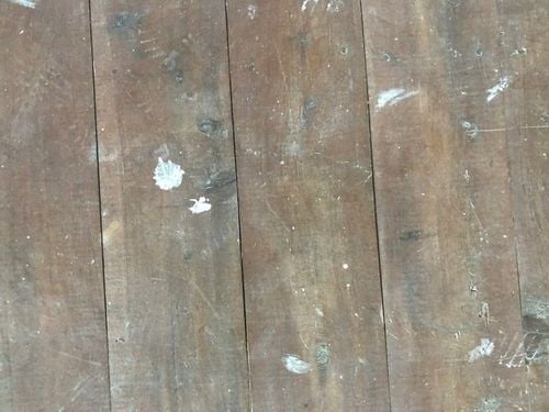 760A2194-ADF9-45F9-9C9F-413A55C54A1B.jpeg 760A2194-ADF9-45F9-9C9F-413A55C54A1B.jpeg