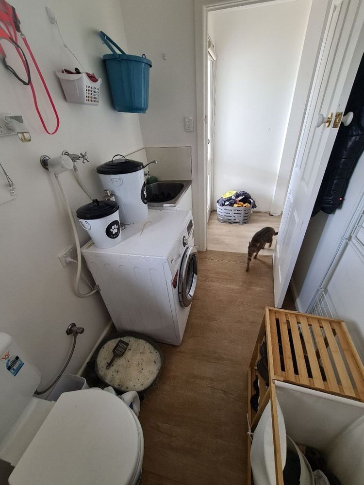 20210907_103656.jpg 20210907_103656.jpg