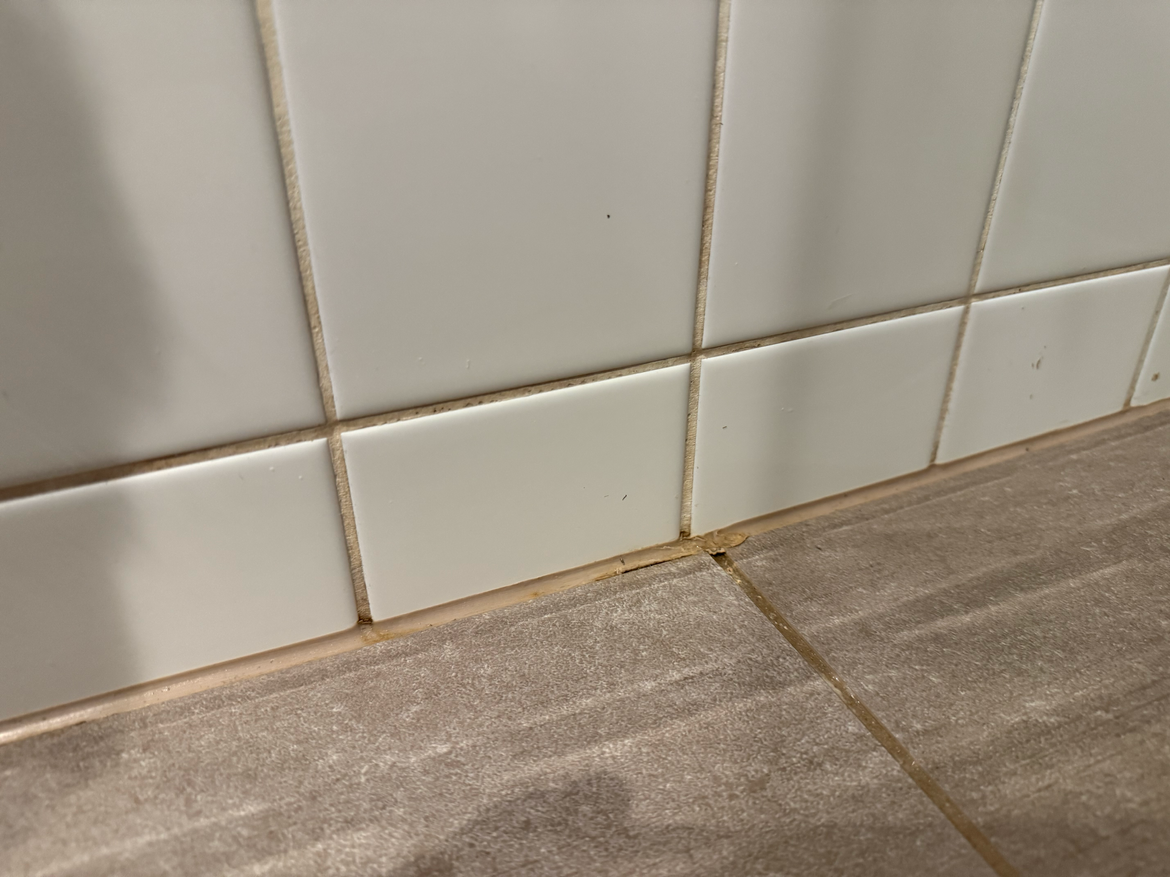 Close up.png Close up.png