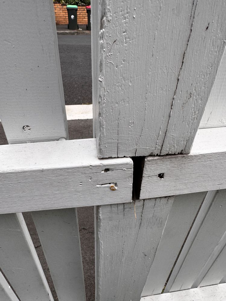 IMG_1465.jpeg IMG_1465.jpeg