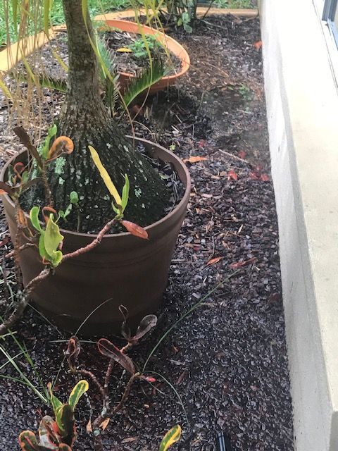 IMG_7131.jpg IMG_7131.jpg