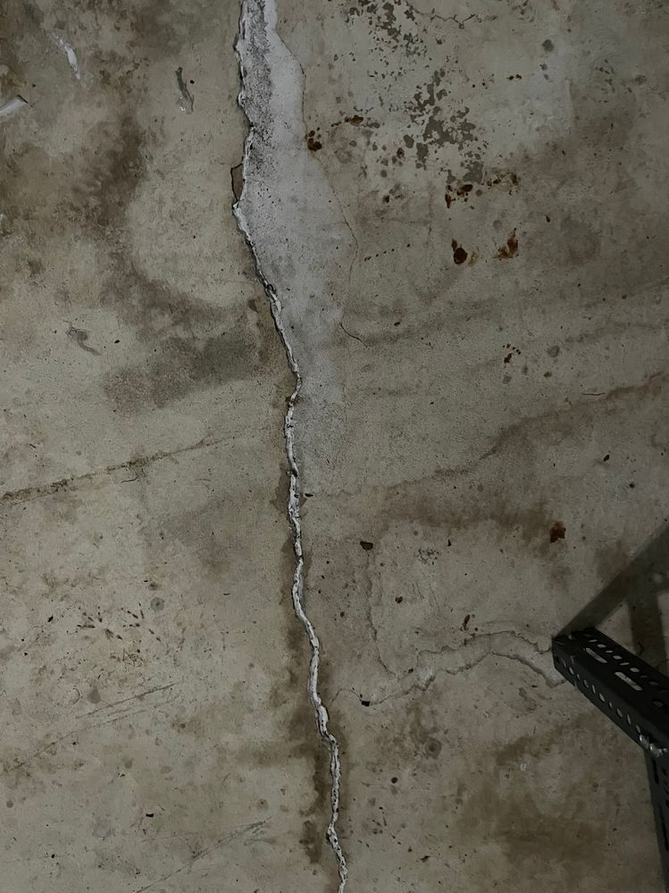 IMG_3446.jpg IMG_3446.jpg