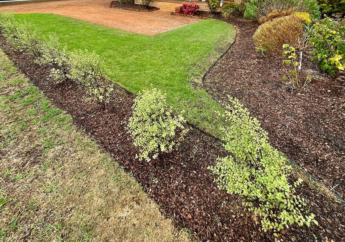 4799A009-2A39-4F85-A51E-89330AE8BA99.jpeg 4799A009-2A39-4F85-A51E-89330AE8BA99.jpeg