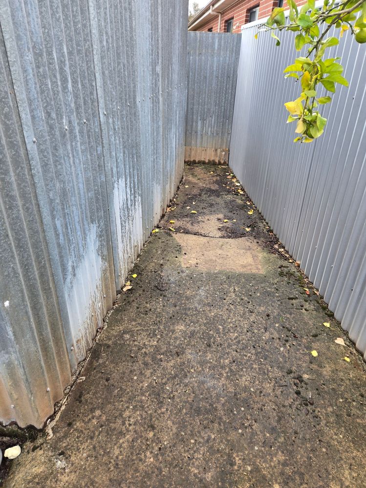 20250607_133141.jpg 20250607_133141.jpg