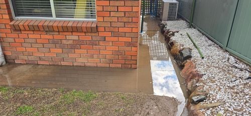 1000026019.jpg 1000026019.jpg