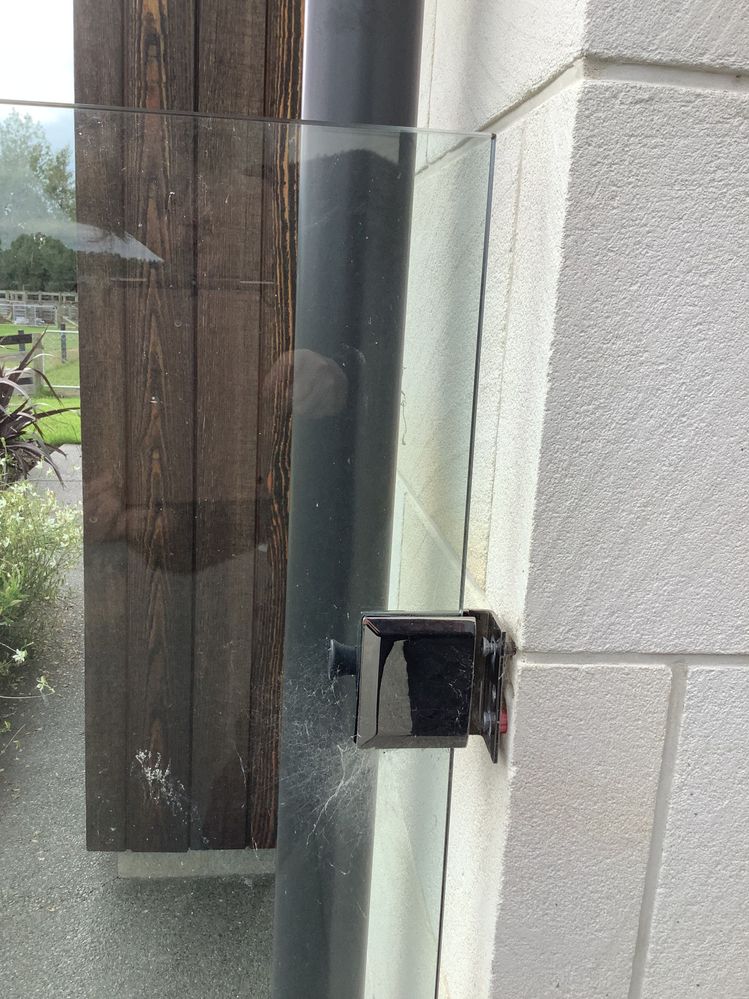 IMG_5449.jpeg IMG_5449.jpeg