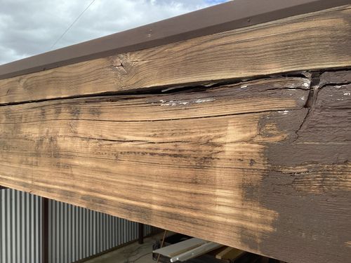 6261221A-5FD4-4477-B2D7-69E46699CE9C.jpeg 6261221A-5FD4-4477-B2D7-69E46699CE9C.jpeg