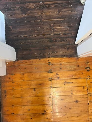 IMG_1450.jpeg IMG_1450.jpeg