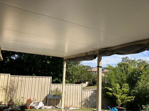 Sugar_1-1685362318277.jpeg Sugar_1-1685362318277.jpeg