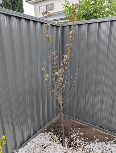 1000033901.jpg 1000033901.jpg