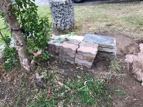 19 13-08-2023.jpg 19 13-08-2023.jpg