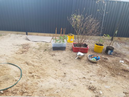 1589609360120340027270339334505.jpg 1589609360120340027270339334505.jpg