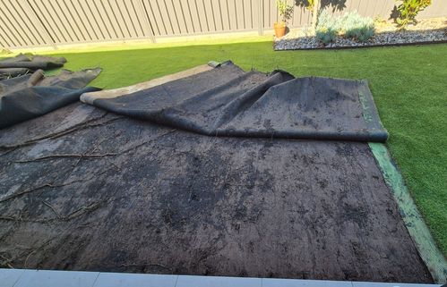 1000012937.jpg 1000012937.jpg