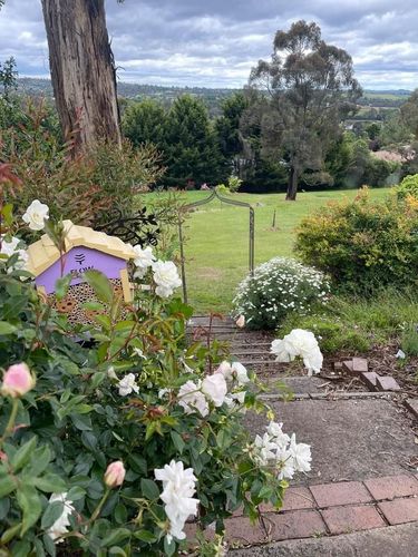 3DB9300E-54CC-435F-A303-E8165CAC4E4F.jpeg 3DB9300E-54CC-435F-A303-E8165CAC4E4F.jpeg