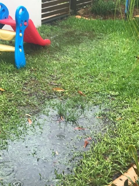 IMG_7132.jpg IMG_7132.jpg