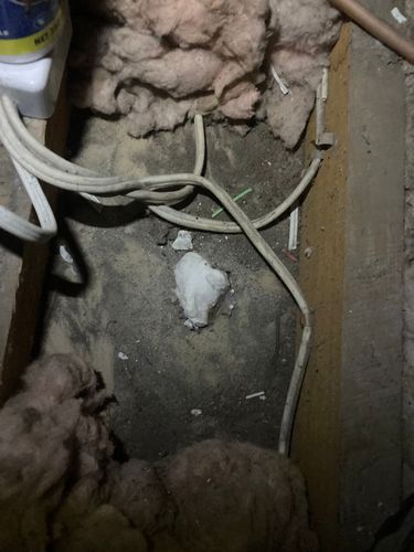 IMG_4581.jpeg IMG_4581.jpeg