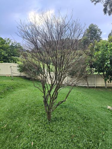 1000003580.jpg 1000003580.jpg