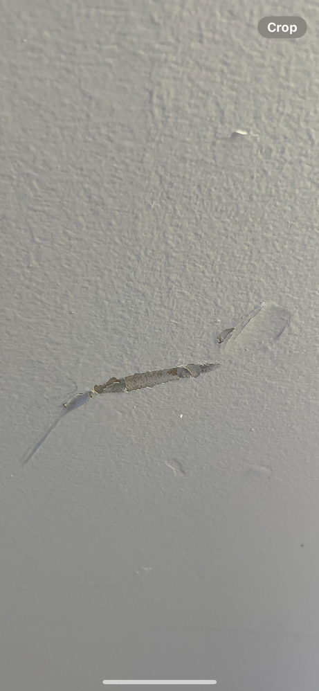 IMG_9603.PNG IMG_9603.PNG