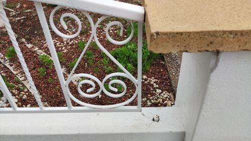 IMG_20251220_110755.jpg IMG_20251220_110755.jpg