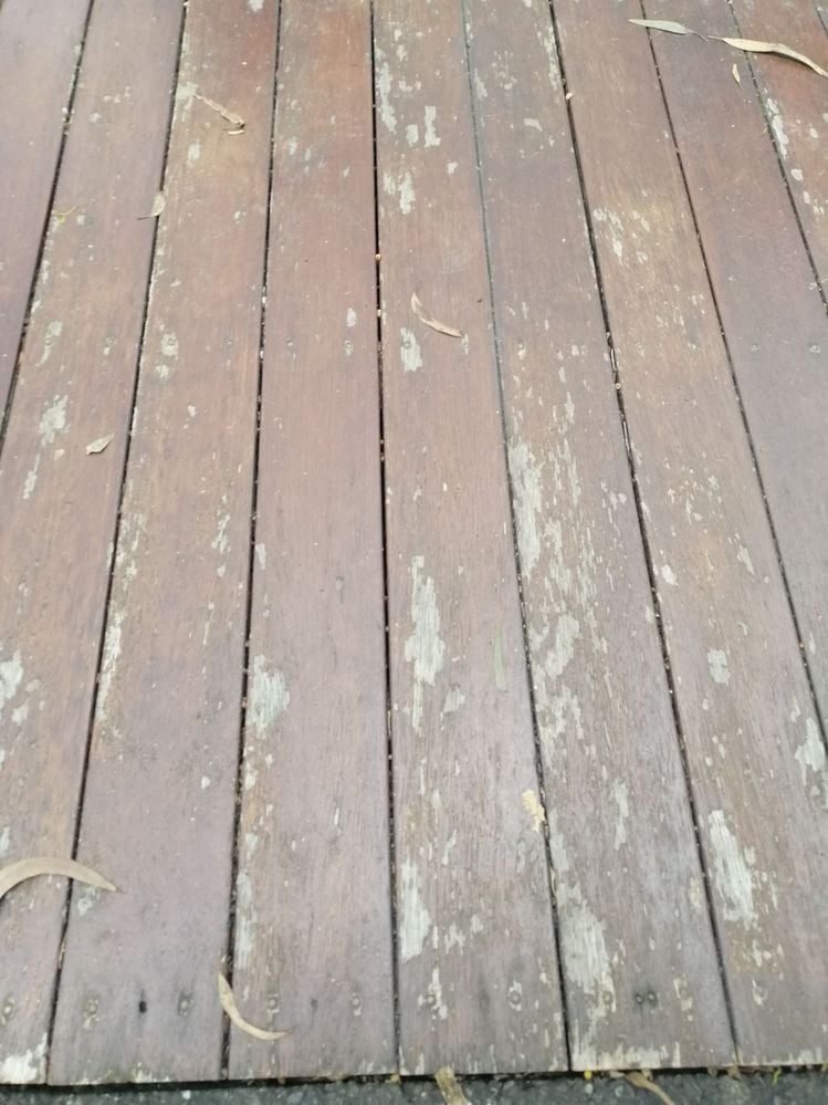 IMG_20211116_180437.jpg IMG_20211116_180437.jpg