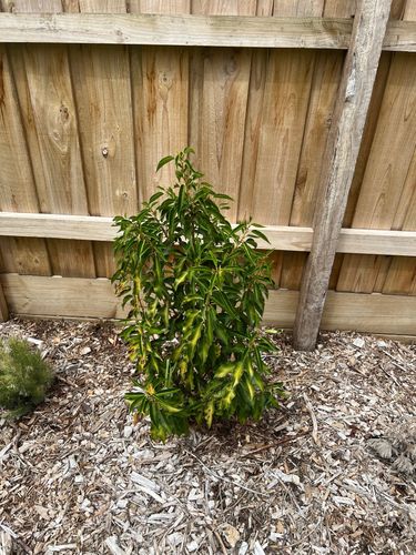 IMG_3310.jpeg IMG_3310.jpeg