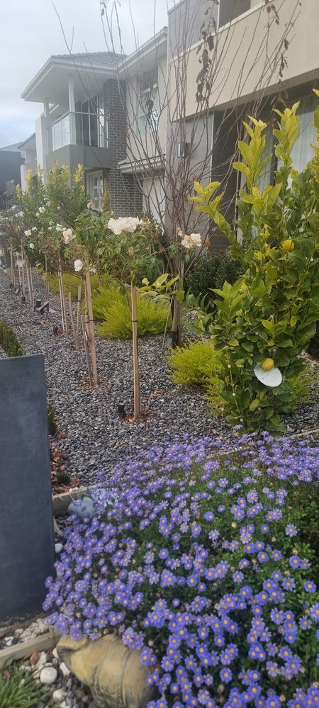 20250627_082929.jpg 20250627_082929.jpg