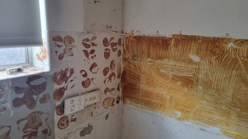 1000034087.jpg 1000034087.jpg