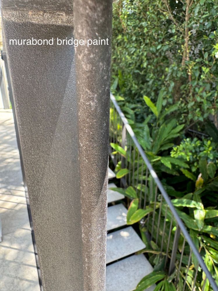 49B3DC44-263D-4603-861F-A7E3D79391A0_1_201_a.jpeg 49B3DC44-263D-4603-861F-A7E3D79391A0_1_201_a.jpeg