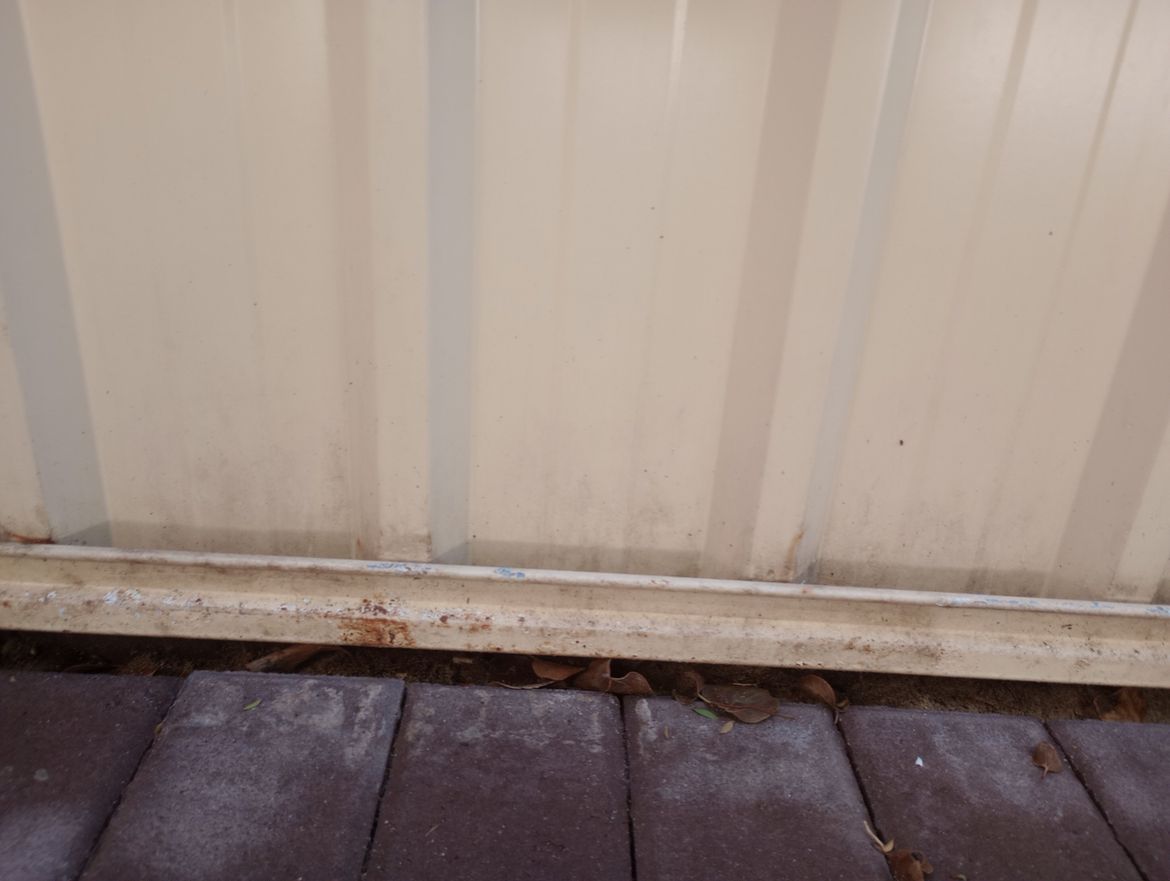 IMG_20240504_095001058.jpg IMG_20240504_095001058.jpg