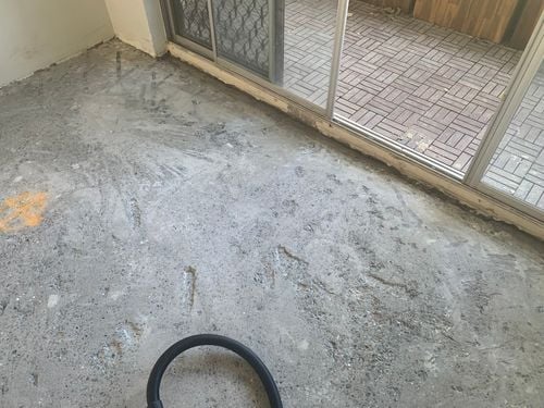 IMG_4185.jpeg IMG_4185.jpeg