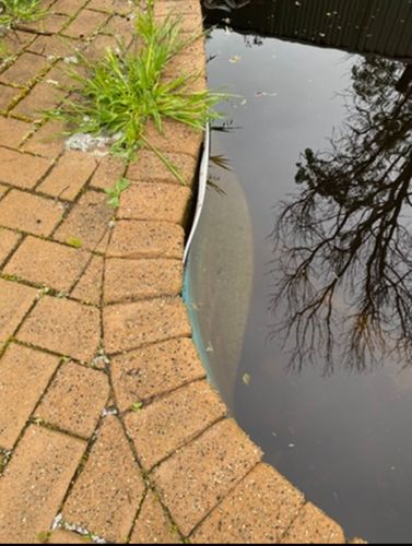 IMG_5942.jpeg IMG_5942.jpeg